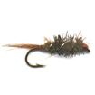 cased caddis